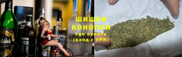 прущие крисы Белокуриха